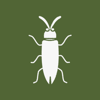 Cucaracha